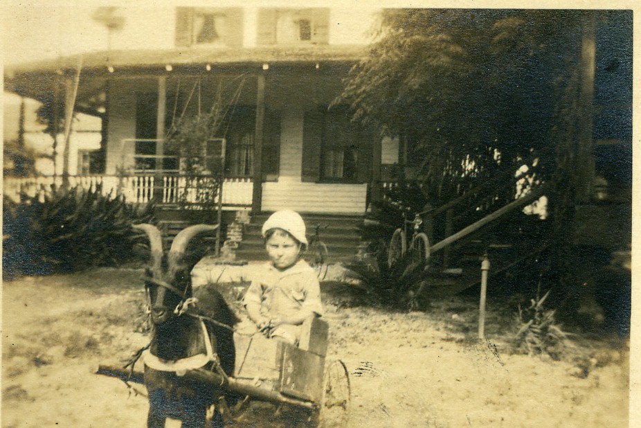 22-3 Buddy Hasell with goat wagon.jpg